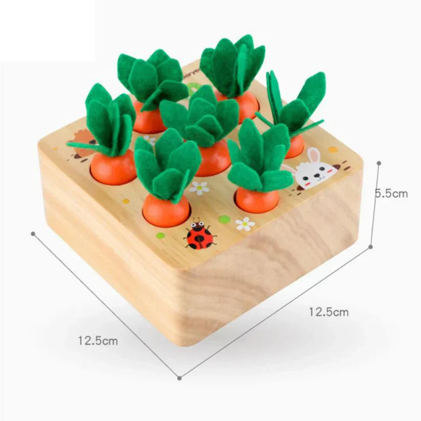 Carrot Size Discovery Puzzle